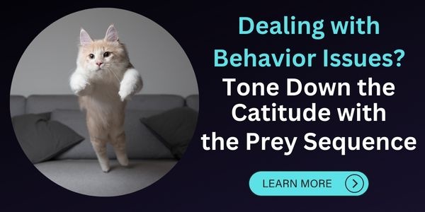 Use the prey sequence to deal with cat behavior issues