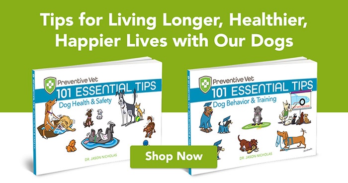 tips for living longer, healthier, happier lives with our dogs