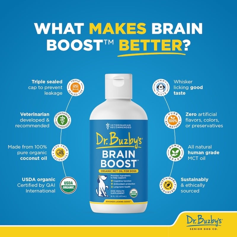 BrainBoost Dr. Buzby Product Features