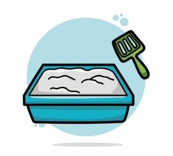 Cat litter box is important