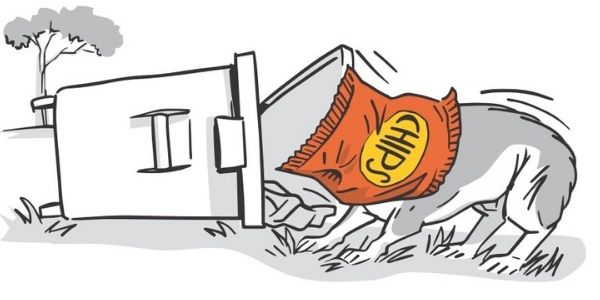 chip bag suffocation danger for dogs and cats