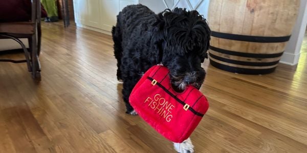 Clover - gone fishing-PV