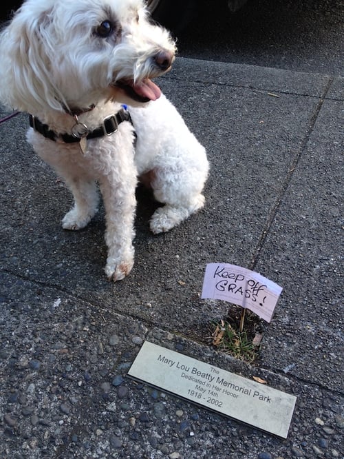 Daisy Olympia Park after eating marijuana edible