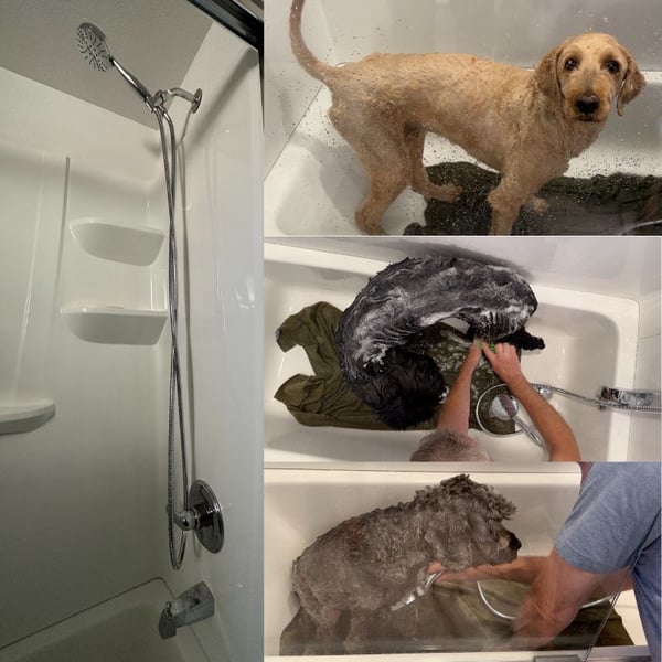 Preventive Vet dogs getting bathed with pet shower head