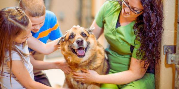 dog being pet by two children