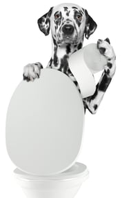 dog holding toilet paper
