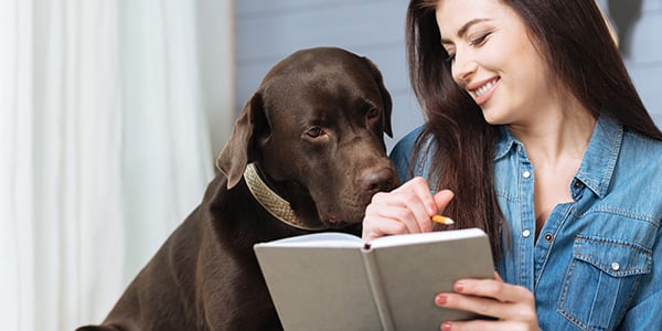 dog sitting with owner making a schedule