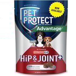 Synovi joint supplement for dogs