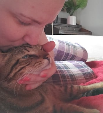 foster cat with guardian