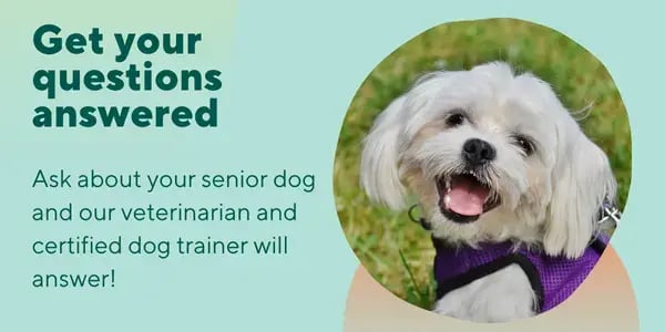 Get your questions answered by experts