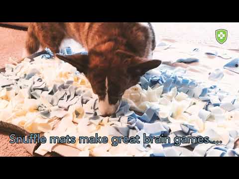 Using a Snuffle Mat to Feed Your Dog