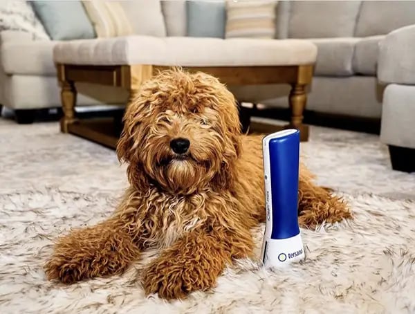 iclean mini pet-safe disinfectant and cleaner