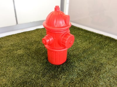 indoor dog potty spot hydrant