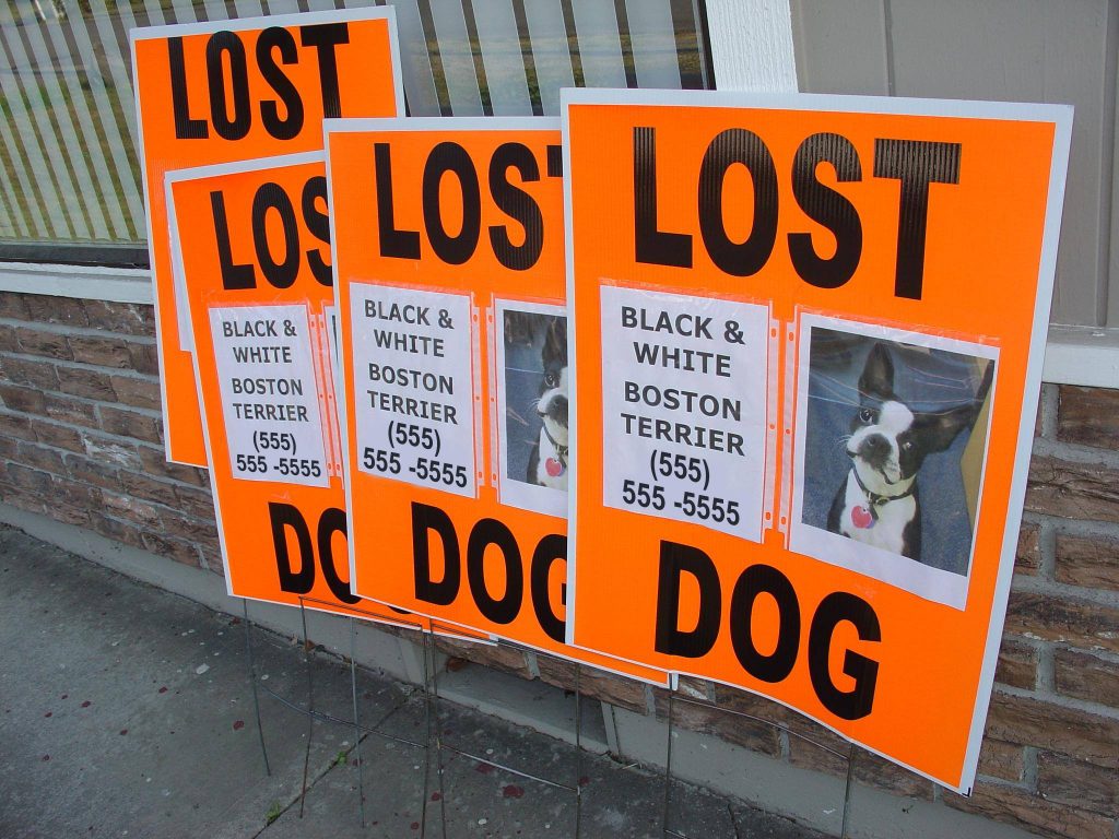 large neon signs helpful in finding lost dogs and cats