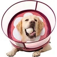 Mariyago Inflatable Soft Dog Donut Collar with Extra Enhanced Anti-Licking Guard Shield