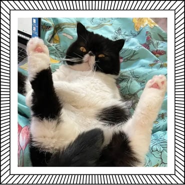 Mazel letting it all hang out