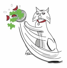 cats are meat eaters