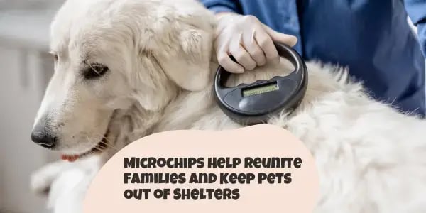 Microchips help reunite families and keep pets out of shelters