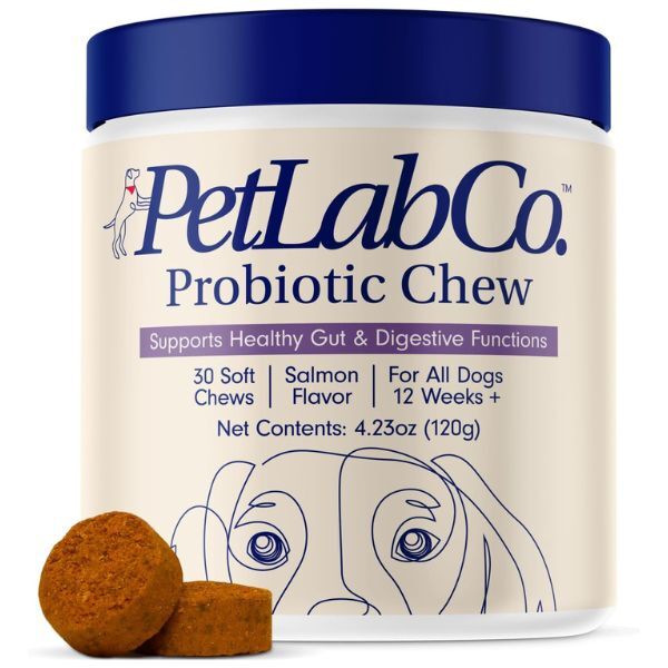 probiotic chews for dogs