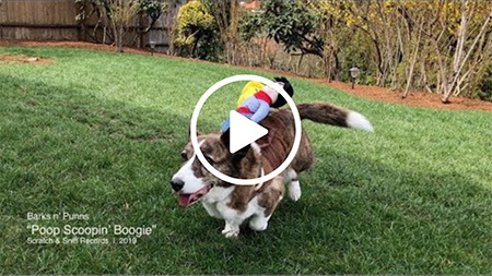 poop scooping boogie music video