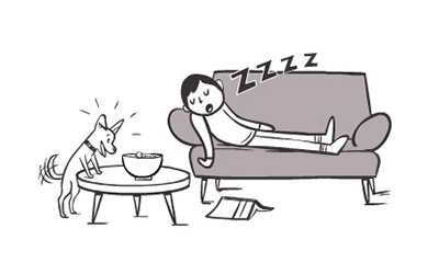 prevent pet suffocation put away chip bag