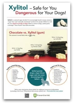 xylitol awareness poster