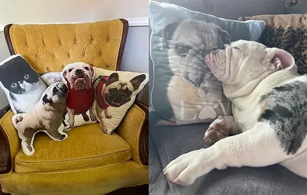 Smushy pet pillows and Maevis cuddling Mabel - pet memorial