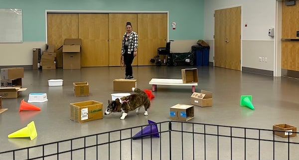 Sookie nose work practice