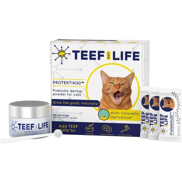 Teef Cat Dental Water Additive