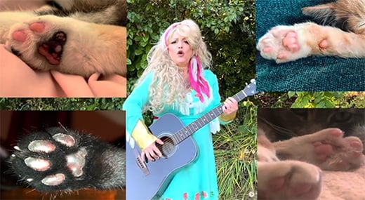 toe beans music video