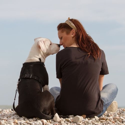 woman and dog sitting and touching noses