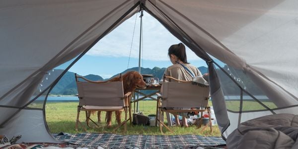 young woman camping with her golden retriever along a lake