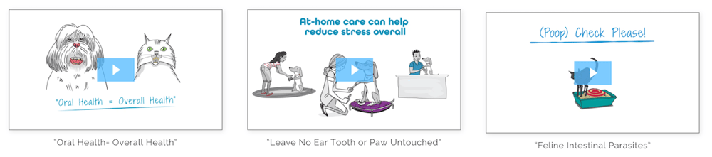 101 Tips Veteos Videos