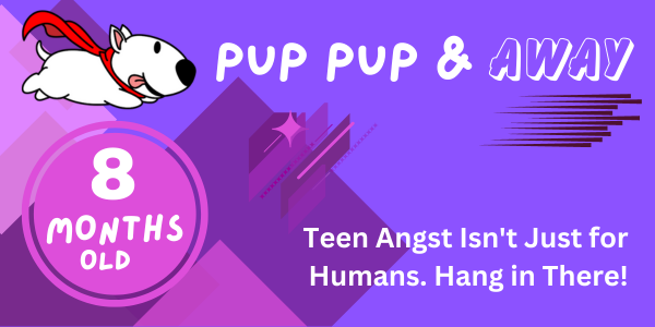 33-34 week old puppy