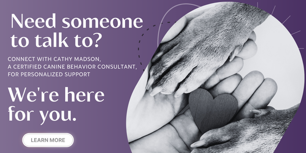 get professional advice about rehoming or euthanizing your dog