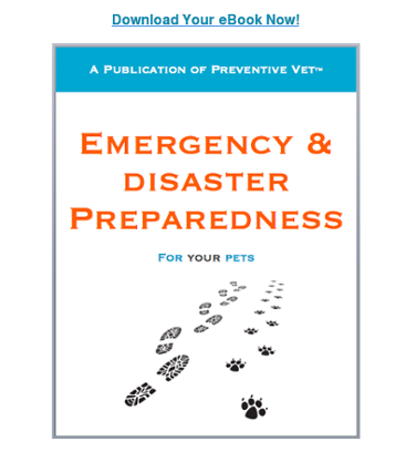 Download Your Emergency Prep eBook Now