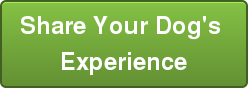 Share Your Dog's  Experience