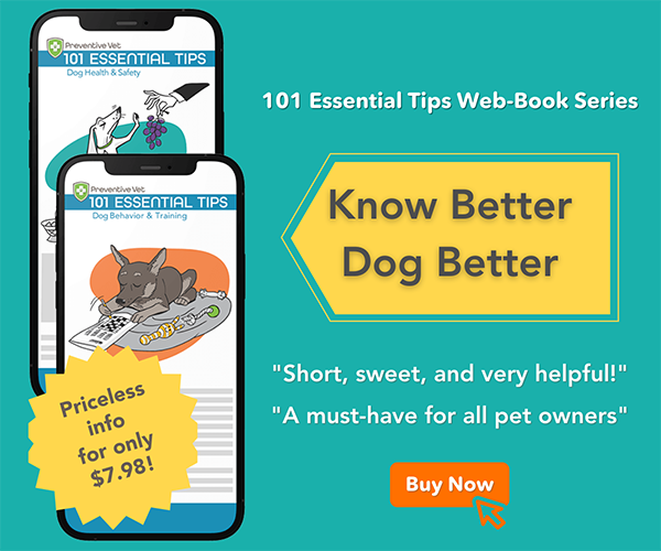 Must-have digital books for dog and puppy owners
