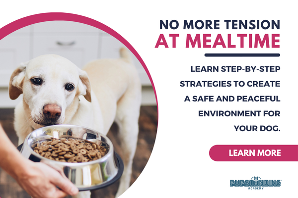 No more tension at mealtime. Learn more about our online resource guarding course.