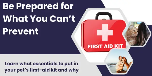 What to put in your pet's first aid kit and why