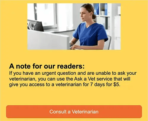 Consult a veterinarian now.