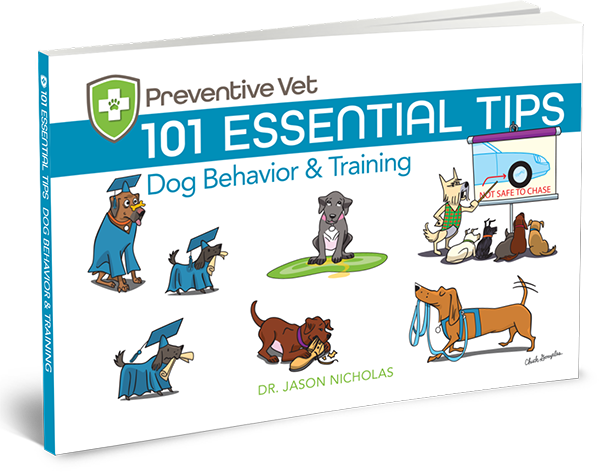 101 dog behavior and training tips
