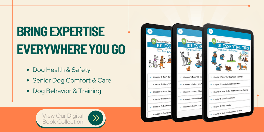 bring expertise everywhere you go - yellow