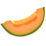 cantaloupe melon