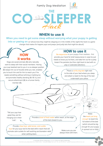 co-sleeper hack pdf thumbnail