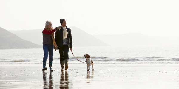 Couple walking dog on beach