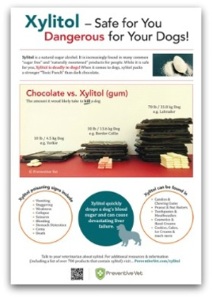 Vet Resource - Xylitol Poster