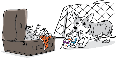 dangers of guests and suitcases illustration