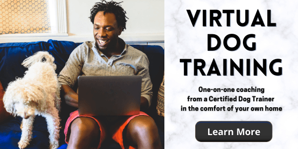 virtual dog training and behavior consultations