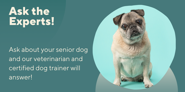 Get your questions answered by experts